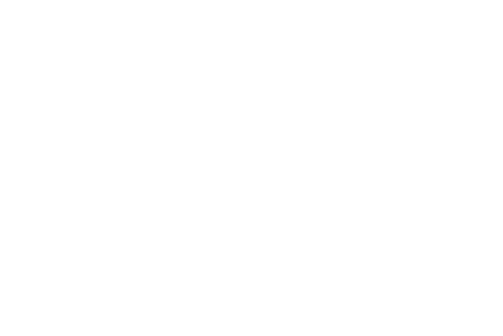 What Is the ANSI X12 EDI 834 Transaction Set, Simply Known As the 834?